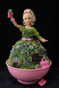 Wed Jun 17  Succulent Barbie 260617101